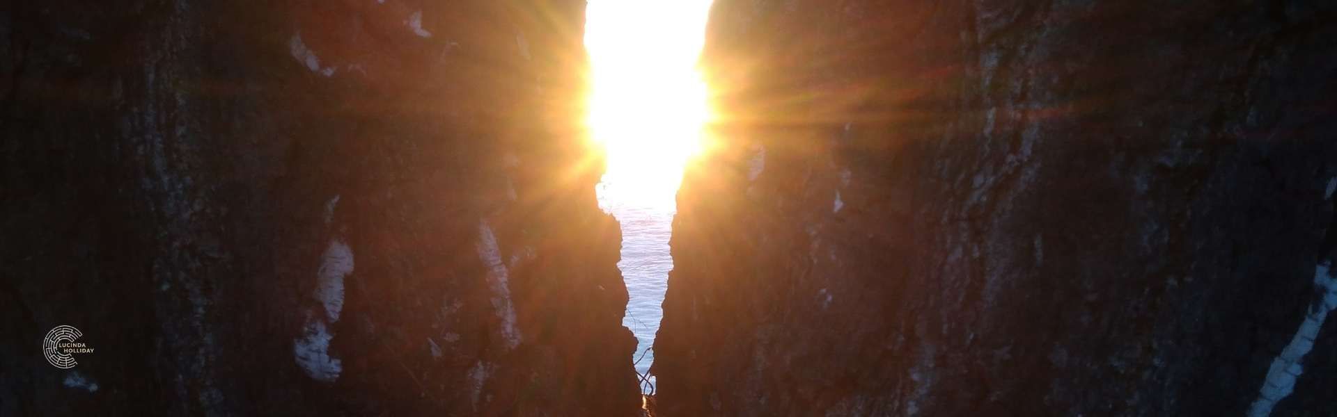 Sunlight shining through tree trunks at sunset